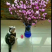干花杜鹃
