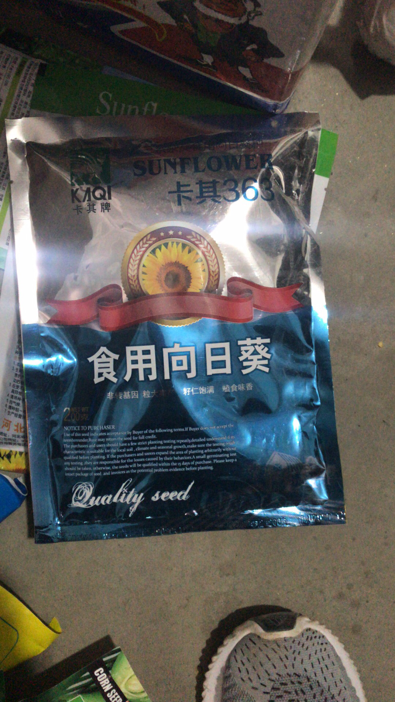 高产抗病食葵种子毛嗑向日葵种子