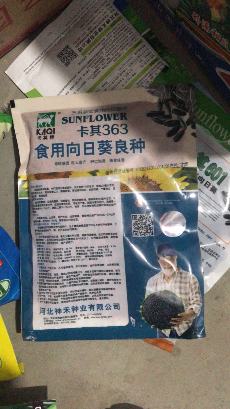 高产抗病食葵种子毛嗑向日葵种子