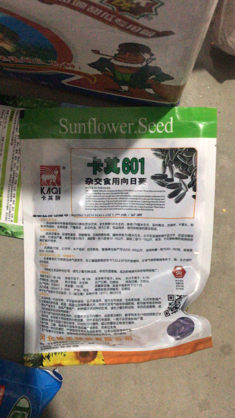 601杂交食用向日葵种子高产抗病籽粒大