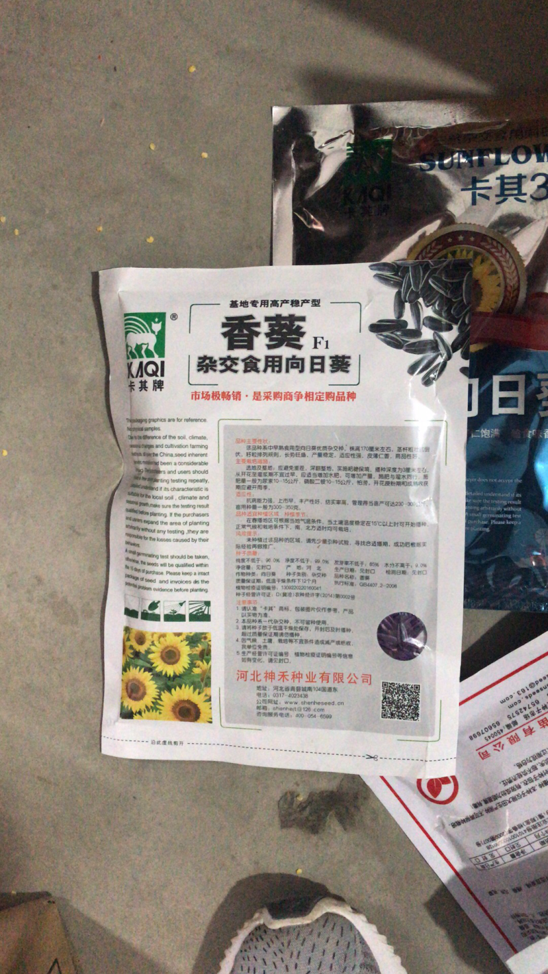 杂交食用向日葵种子高产抗病新品种香葵食葵