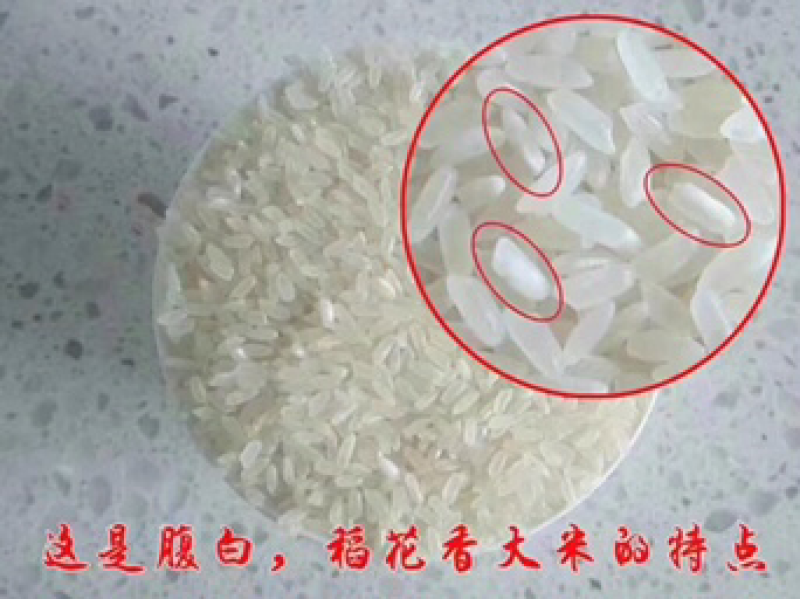 东北大米