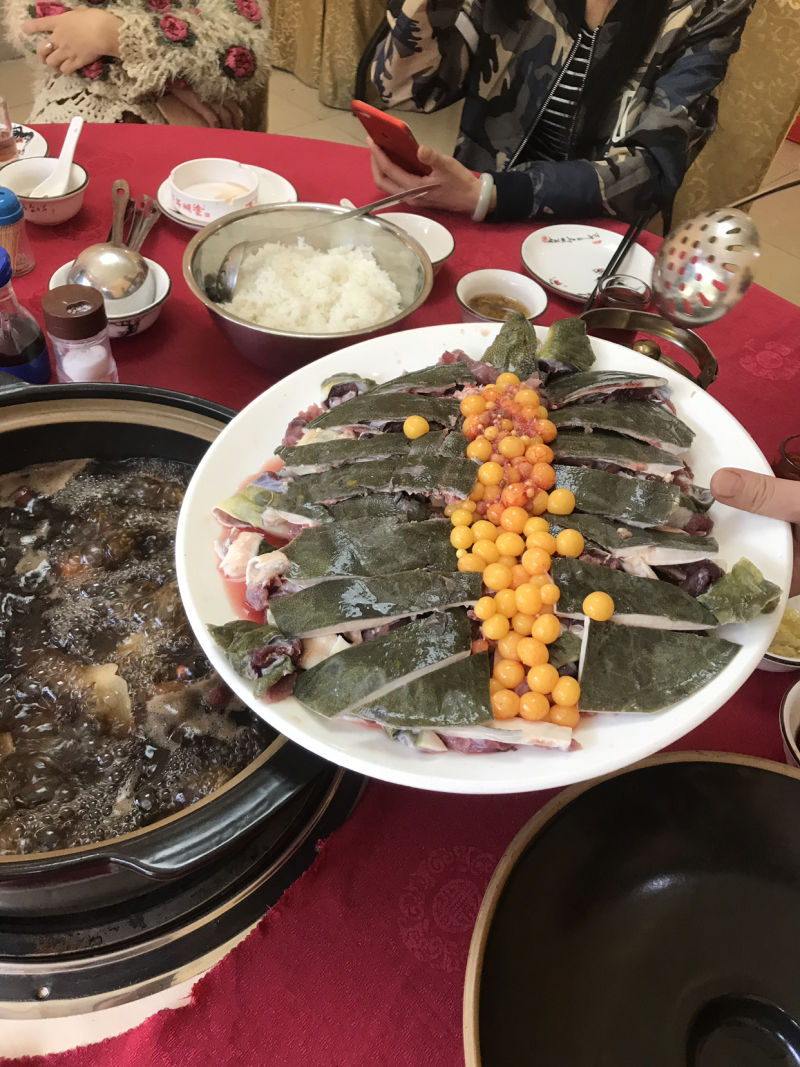 生态老甲鱼，8年以上老甲鱼，3-8斤都有