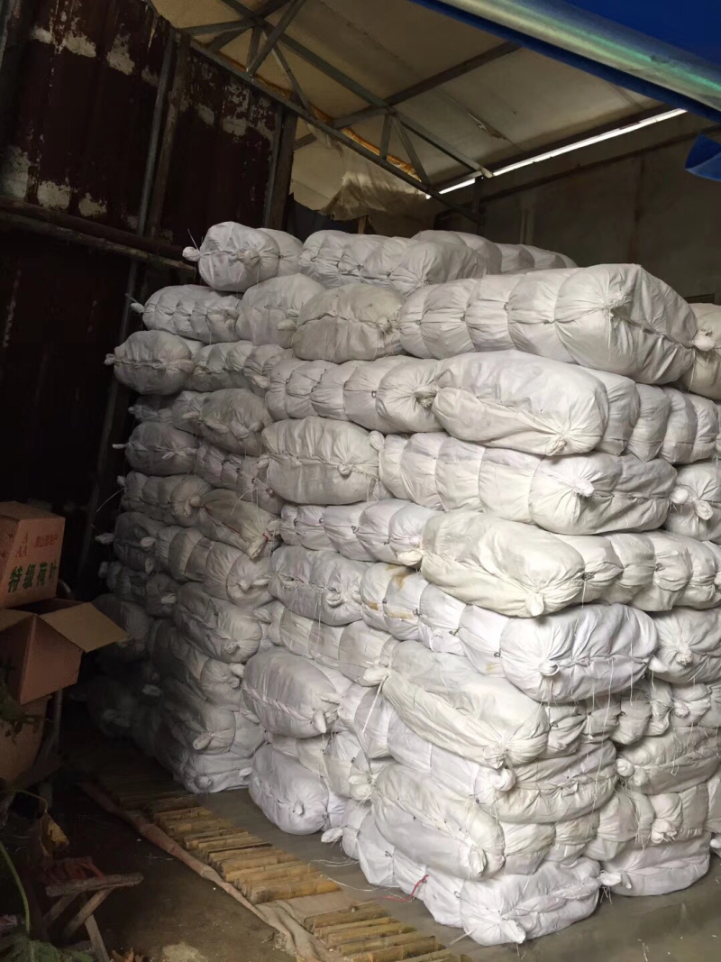 荷叶2025新山东微山湖区荷叶整张荷叶包糯米鸡
