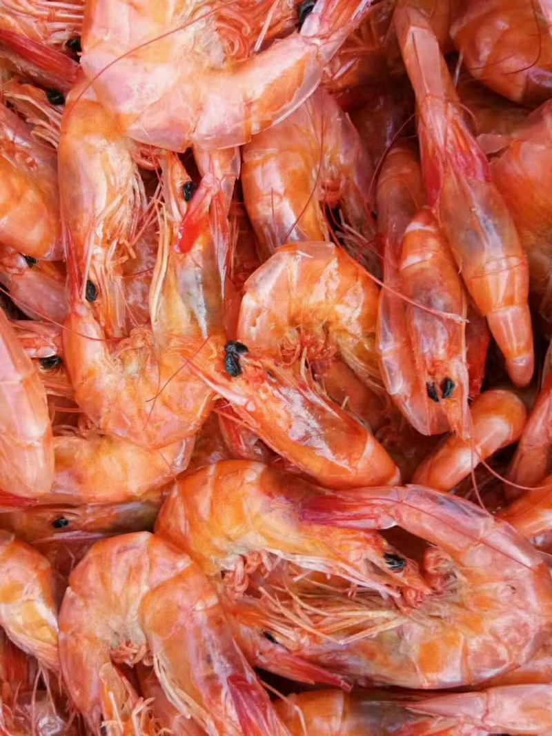 南美白对虾