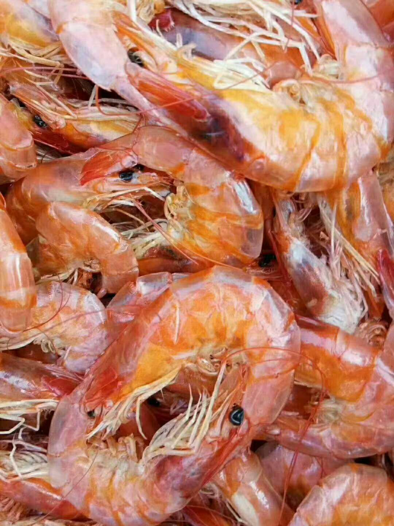 南美白对虾