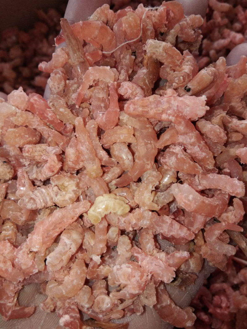 草虾海米