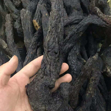 肉苁蓉沙漠人参野生肉苁蓉硬质软质