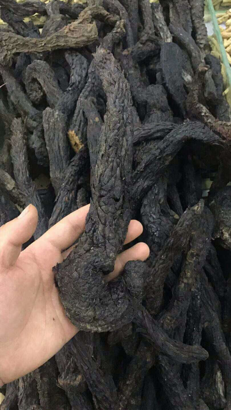 肉苁蓉沙漠人参野生肉苁蓉硬质软质
