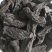 肉苁蓉沙漠人参野生肉苁蓉硬质软质