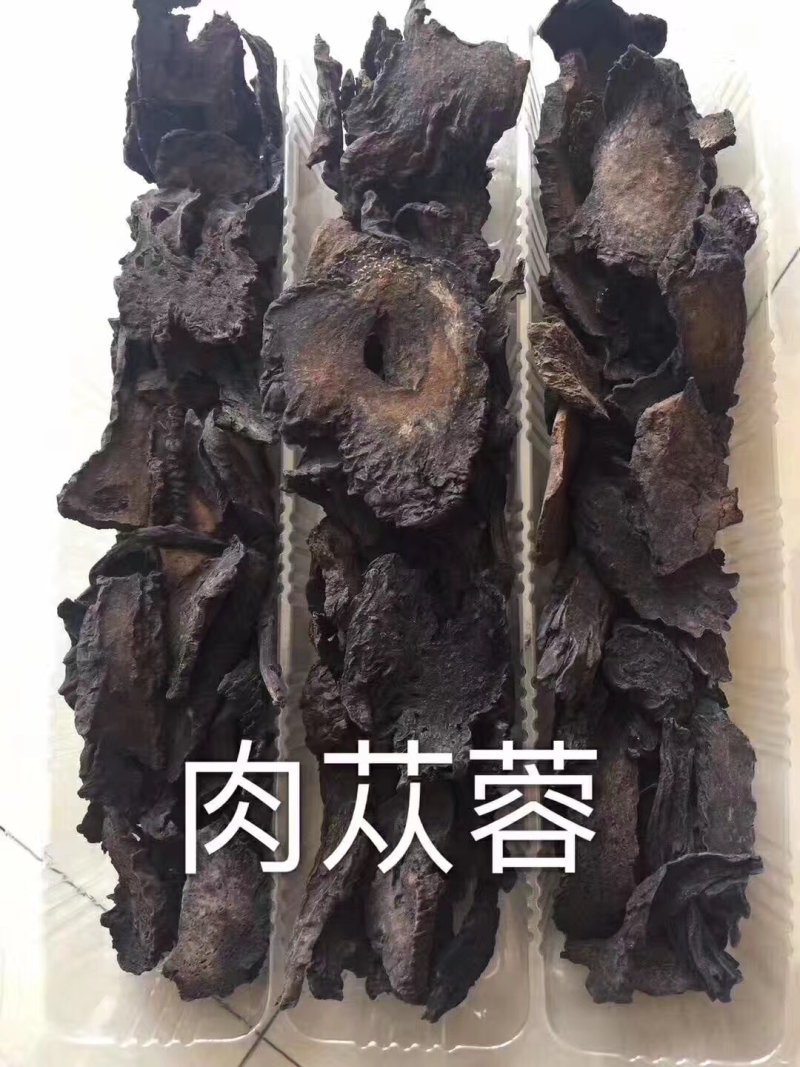 肉苁蓉沙漠人参野生肉苁蓉硬质软质