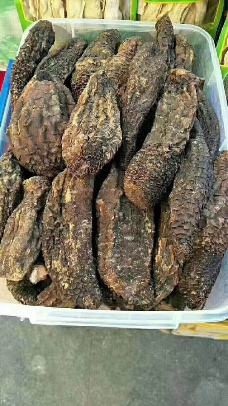 肉苁蓉沙漠人参野生肉苁蓉硬质软质