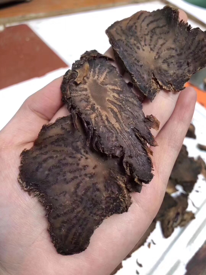 肉苁蓉沙漠人参野生肉苁蓉硬质软质
