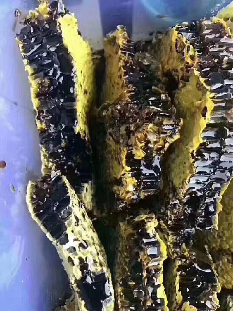 米团花缅甸黑晶蜜黑蜂蜜黑蜜