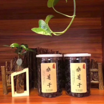 松花粉贝母