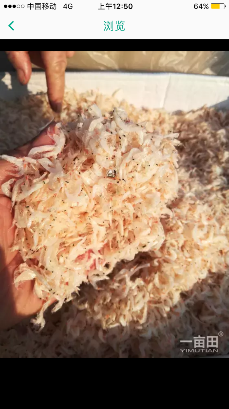 特级虾皮。