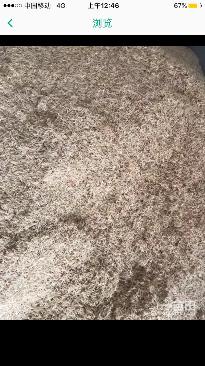 特级虾皮。