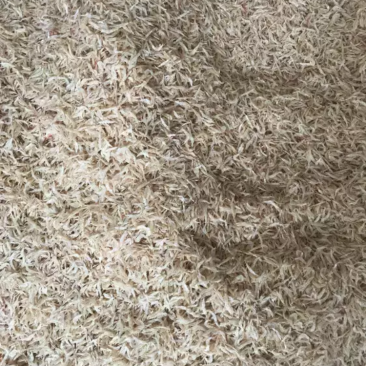特级虾皮。