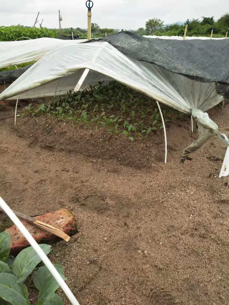 小龙虾防逃围网配套插杆批发