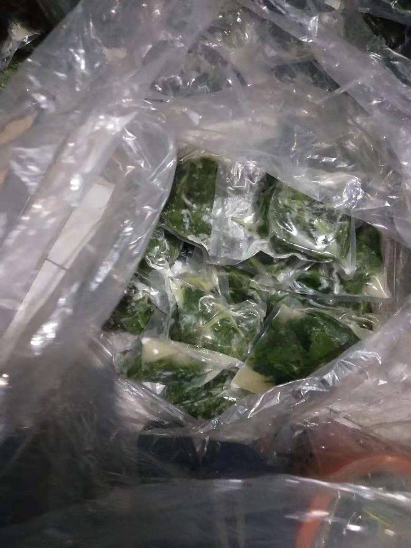 马蹄叶