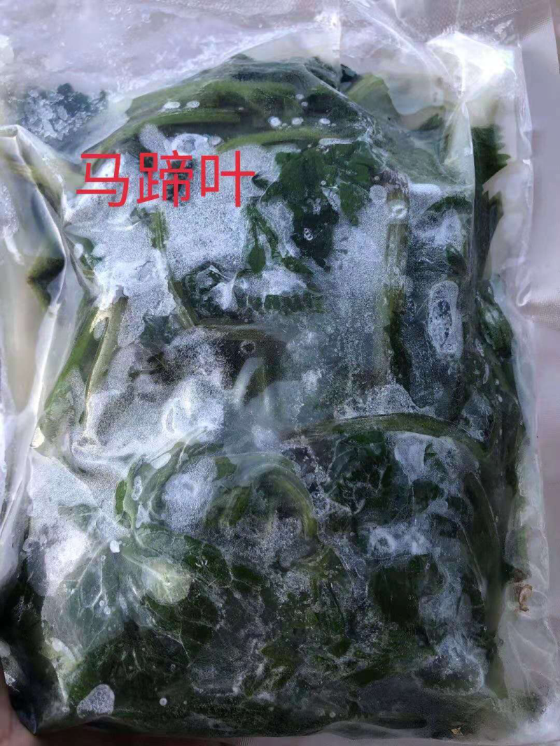 马蹄叶