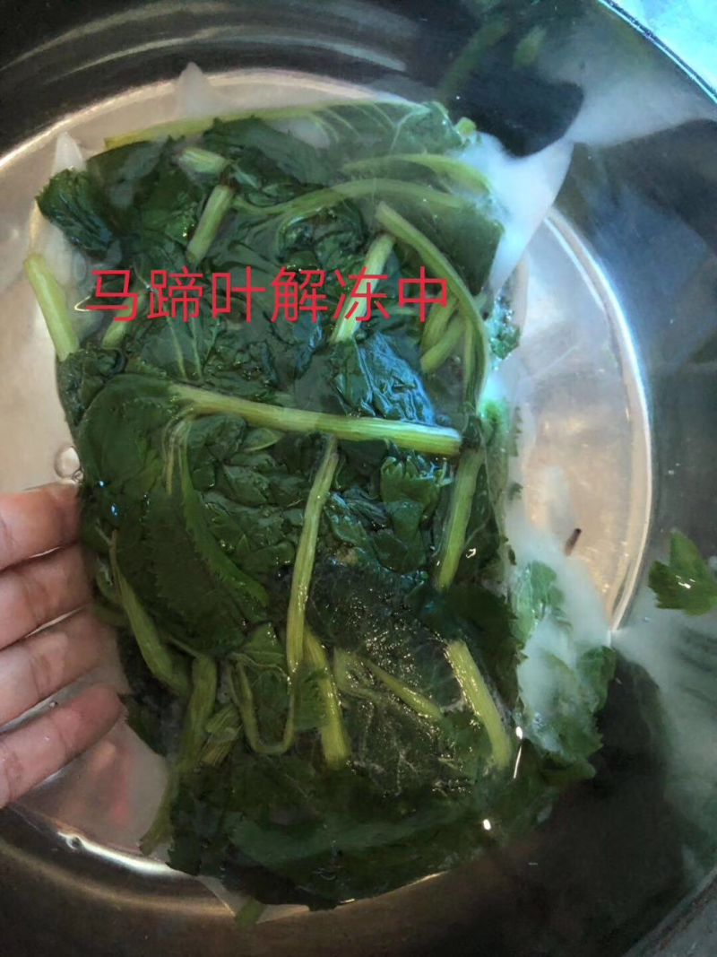 马蹄叶