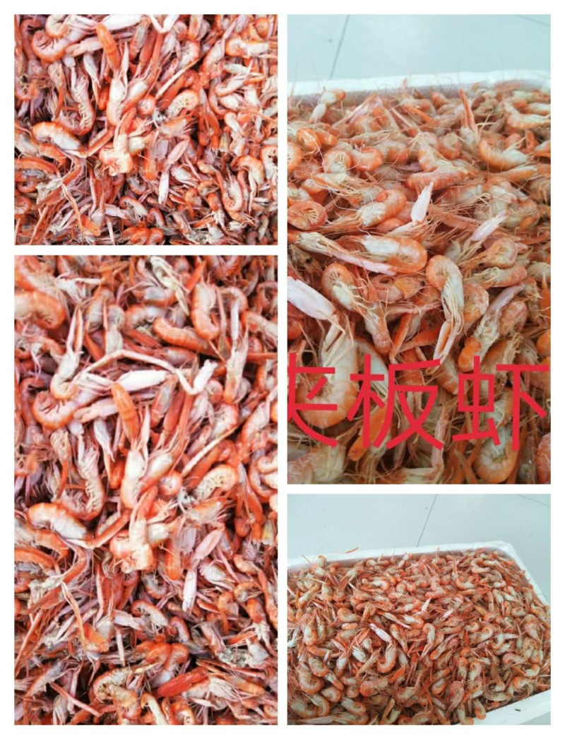 爪虾，勾虾，熟虾，夹板虾