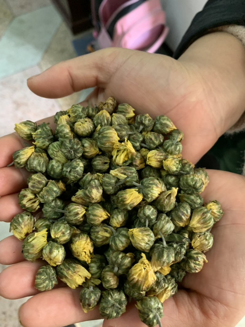 菊花茶胎菊王杭菊