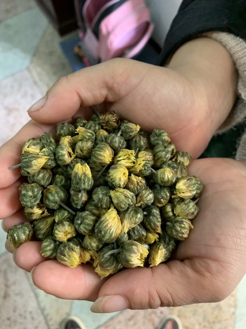 菊花茶胎菊王杭菊