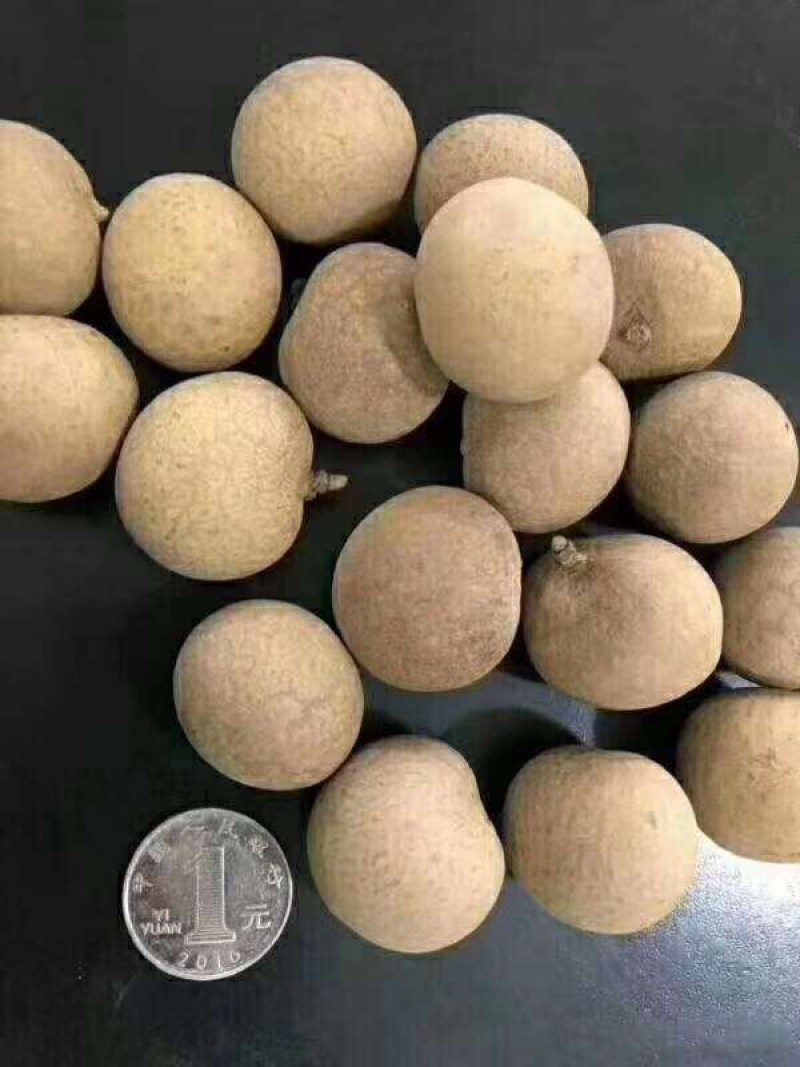 桂圆