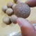桂圆