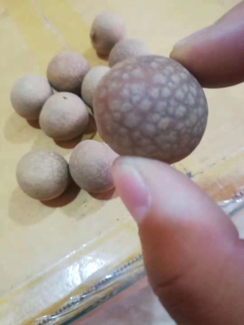 桂圆