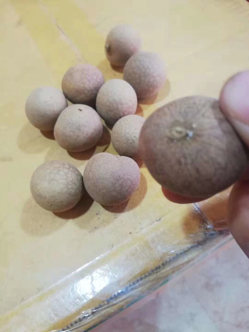 桂圆