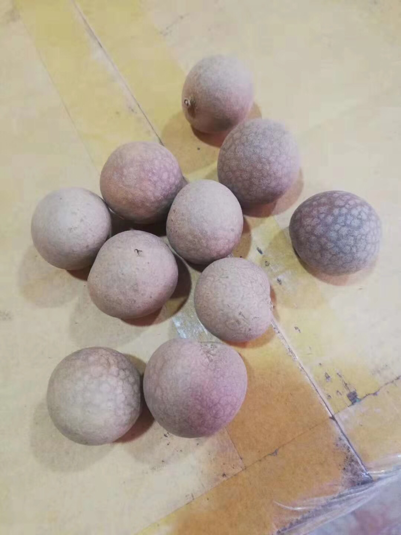 桂圆