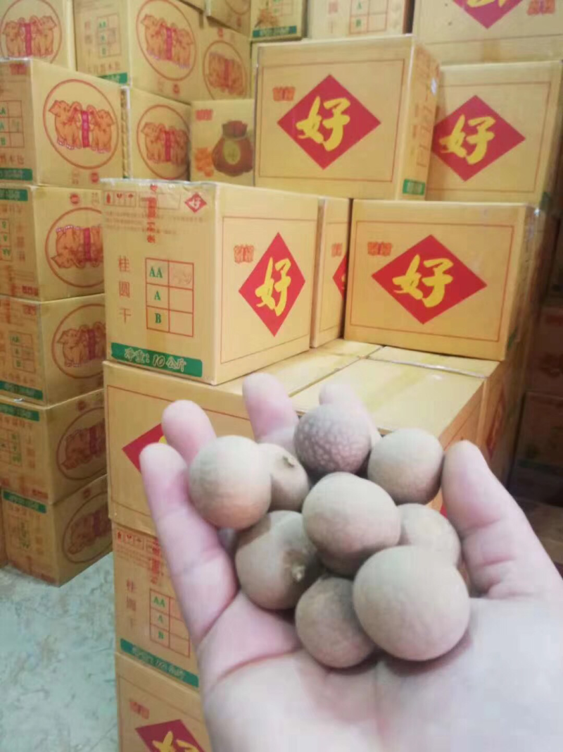 桂圆