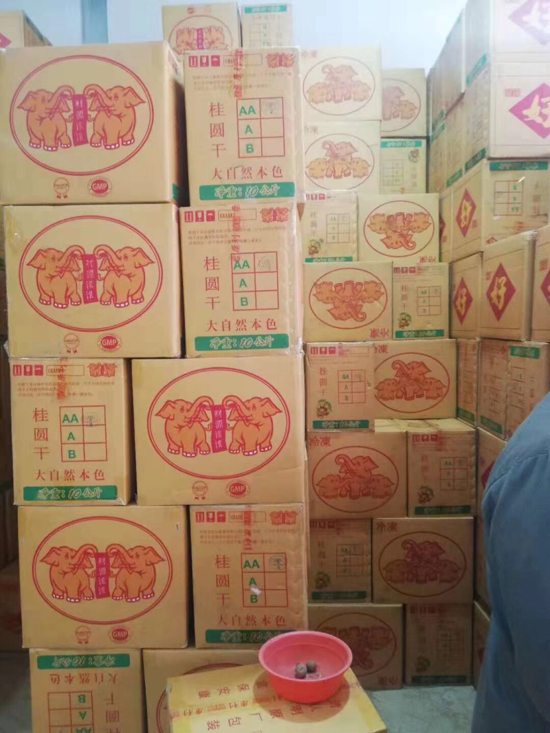 桂圆
