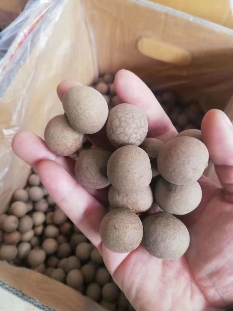 桂圆