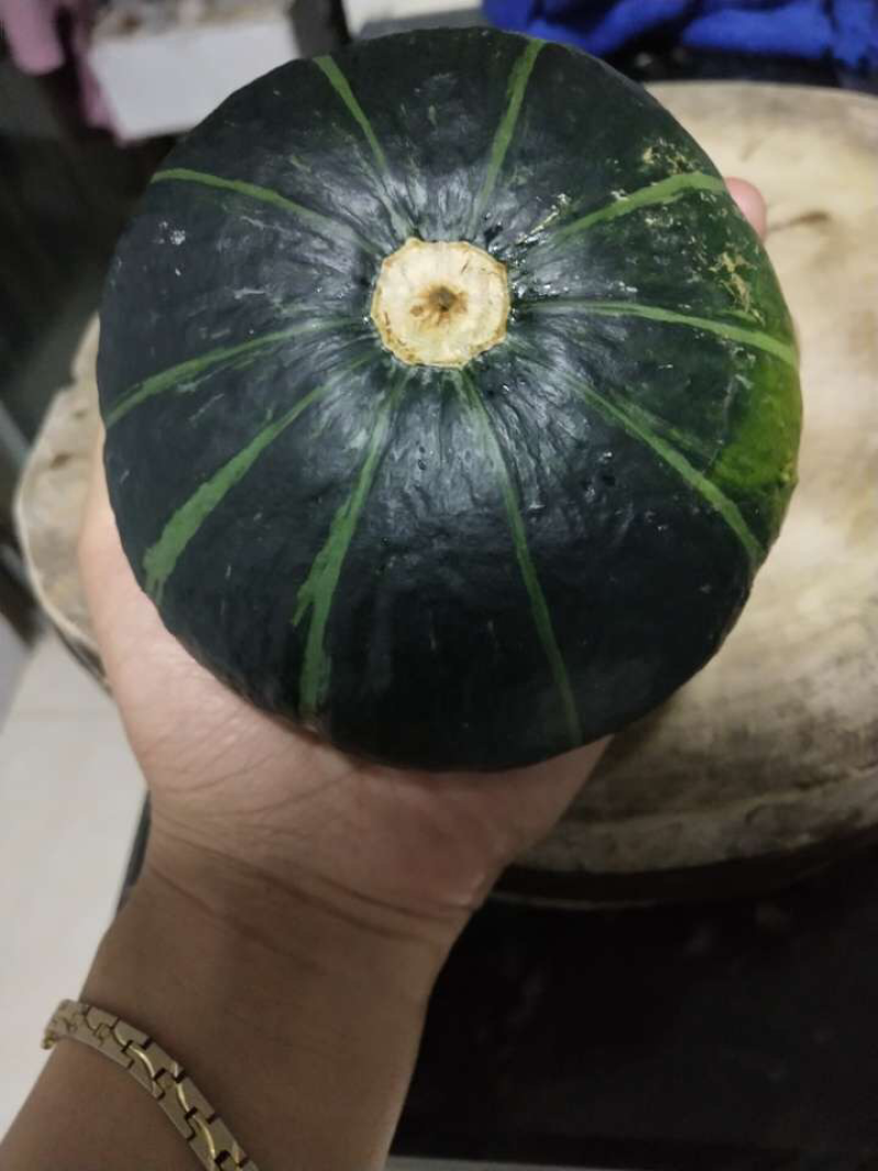 贝贝南瓜一件代发常年有货欢迎朋友来对接