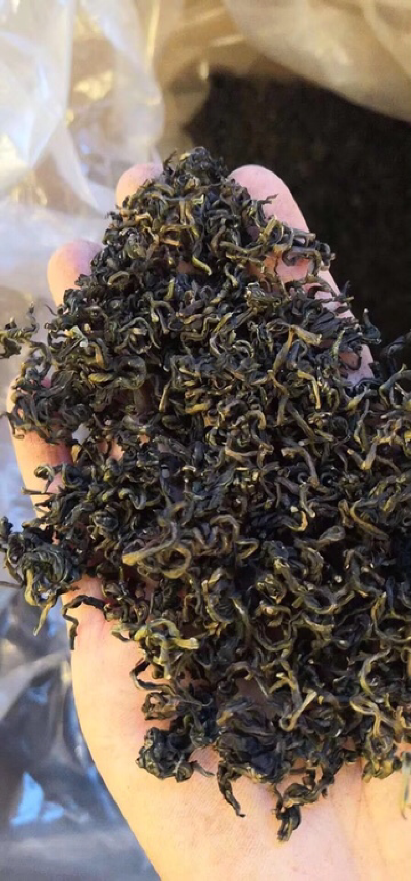 蒲公英根茶批发