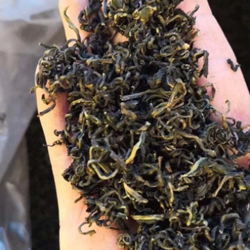蒲公英根茶批发