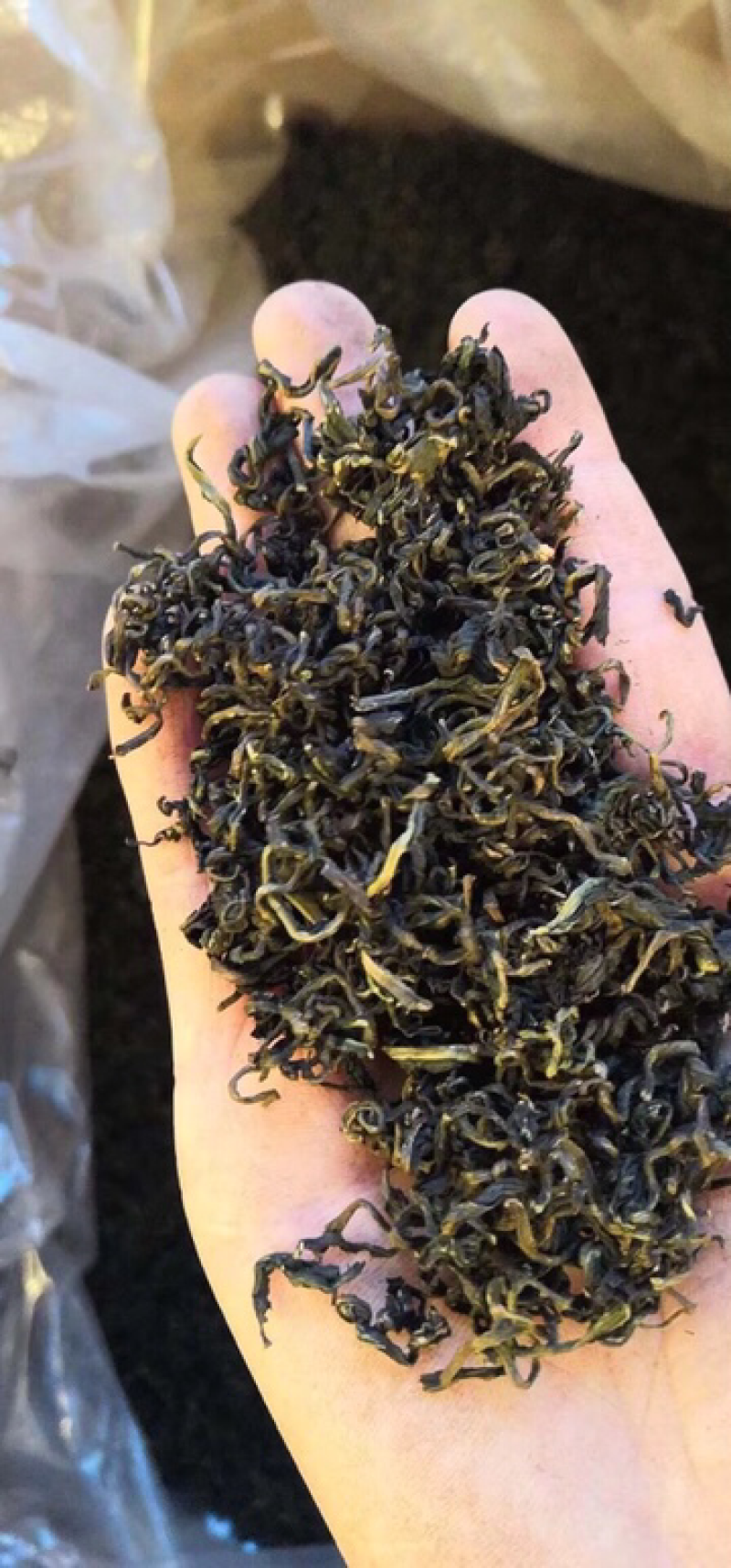 蒲公英根茶批发