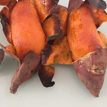 烟薯253两以上小红薯红心