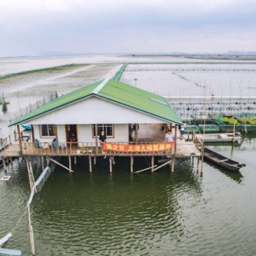 太湖大闸蟹