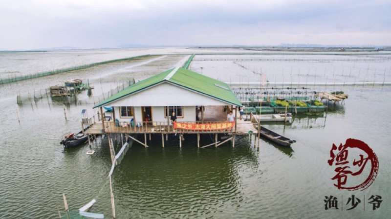太湖大闸蟹