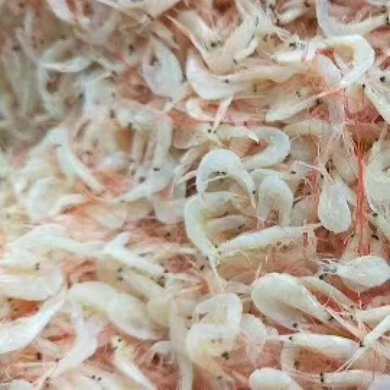 虾皮