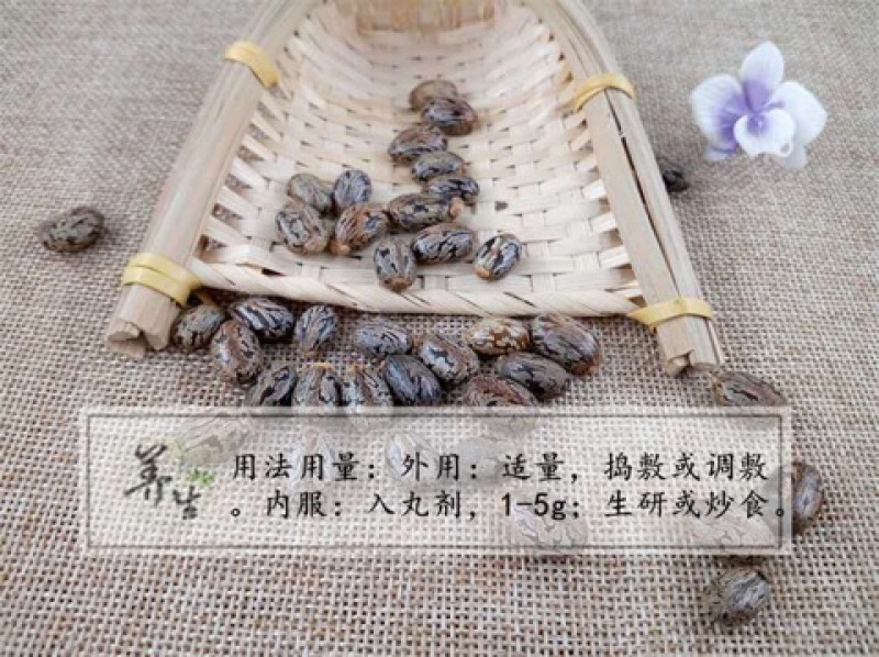 蓖麻籽