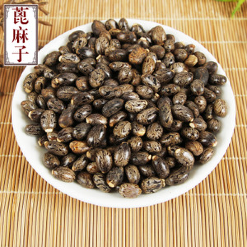 蓖麻籽