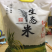 大米