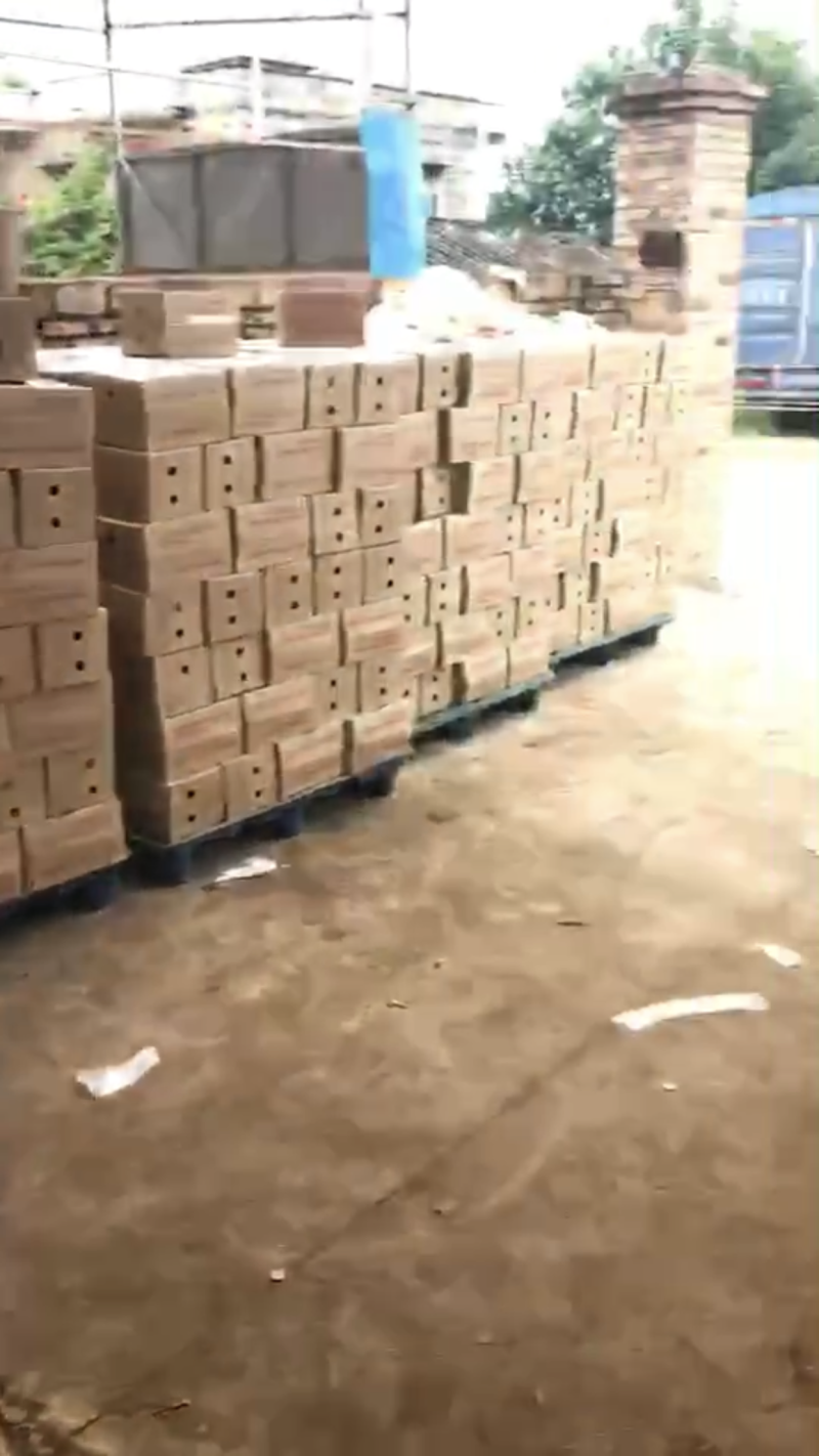 专业代发紫薯紫罗兰一件代发，价格有优势对接直播社区电商