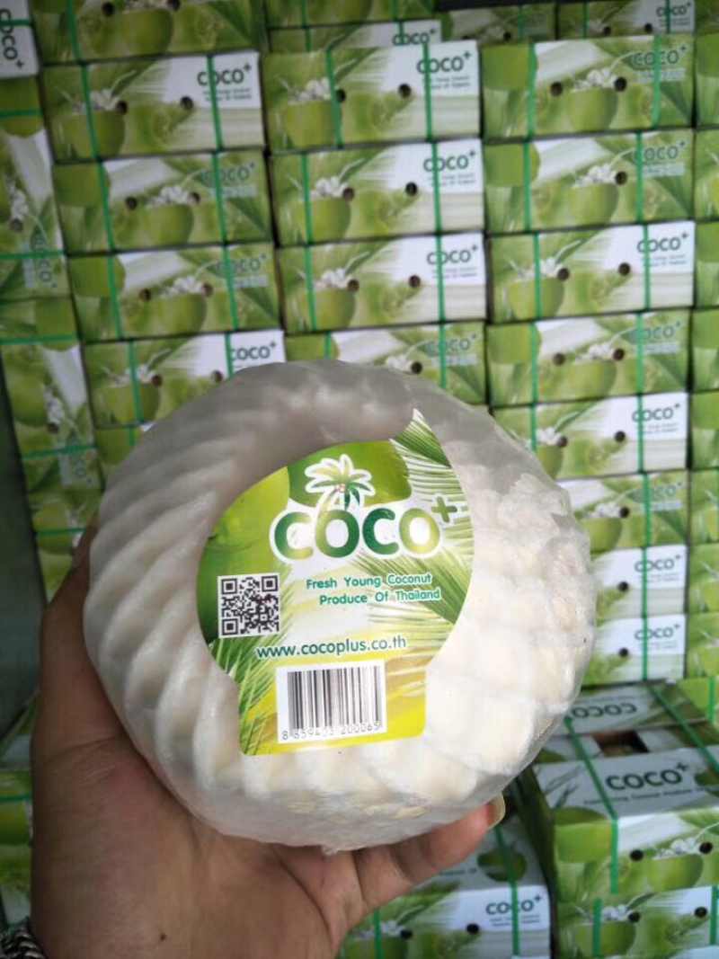 泰国椰青泰国香水椰子鲜甜清香非海南